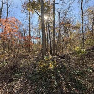 Photo #7 of Parcel E RICHMOND HWY, AMHERST, VA 5.8 acres