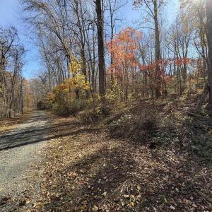 Photo #8 of Parcel E RICHMOND HWY, AMHERST, VA 5.8 acres