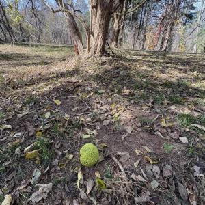 Photo #10 of Parcel B DULWICH DR, AMHERST, VA 21.7 acres