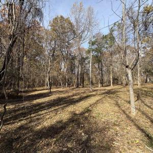 Photo #21 of Parcel B DULWICH DR, AMHERST, VA 21.7 acres