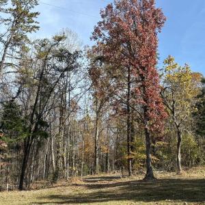 Photo #24 of Parcel B DULWICH DR, AMHERST, VA 21.7 acres