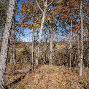 Photo #13 of TBD ROMAN RIDGE RD, MOUNT SIDNEY, VA 5.1 acres