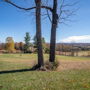 Photo #11 of TBD ROMAN RIDGE RD, MOUNT SIDNEY, VA 5.1 acres