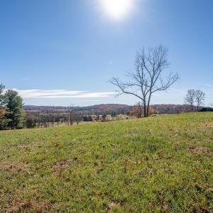 Photo #14 of TBD ROMAN RIDGE RD, MOUNT SIDNEY, VA 5.1 acres