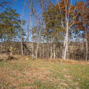 Photo #12 of TBD ROMAN RIDGE RD, MOUNT SIDNEY, VA 5.1 acres