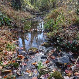 Photo #10 of LOT B LINK EVANS RD, EARLYSVILLE, VA 5.6 acres