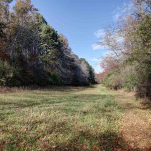 Photo #4 of LOT B LINK EVANS LN, EARLYSVILLE, VA 5.6 acres