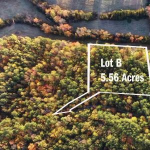 Photo #8 of LOT B LINK EVANS LN, EARLYSVILLE, VA 5.6 acres