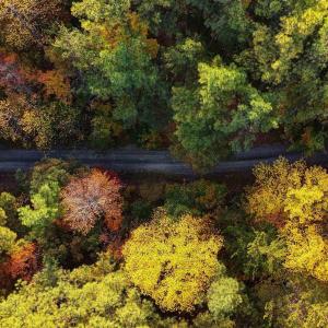 Photo #7 of LOT B LINK EVANS LN, EARLYSVILLE, VA 5.6 acres