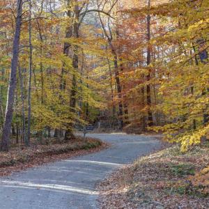 Photo #3 of LOT B LINK EVANS LN, EARLYSVILLE, VA 5.6 acres