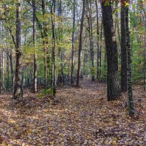 Photo #1 of LOT B LINK EVANS LN, EARLYSVILLE, VA 5.6 acres