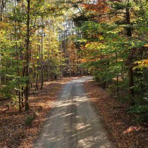 Photo #4 of LOT B LINK EVANS LN, EARLYSVILLE, VA 5.6 acres