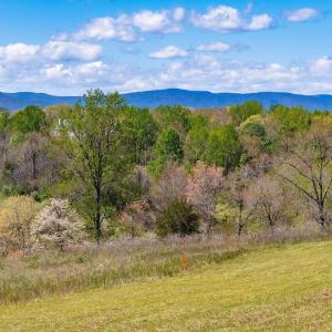 Photo #12 of BLOOMFIELD RD, CHARLOTTESVILLE, VA 21.1 acres