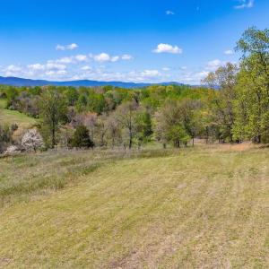 Photo #3 of BLOOMFIELD RD, CHARLOTTESVILLE, VA 21.1 acres