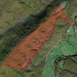 Photo #14 of BIG RIVER RD, GOSHEN, VA 210.0 acres