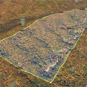 Photo #13 of BIG RIVER RD, GOSHEN, VA 210.0 acres