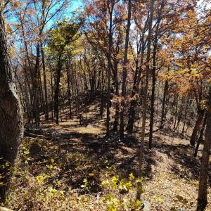 Photo #10 of BIG RIVER RD, GOSHEN, VA 210.0 acres