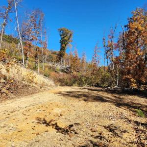 Photo #11 of BIG RIVER RD, GOSHEN, VA 210.0 acres