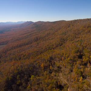 Photo #8 of BIG RIVER RD, GOSHEN, VA 210.0 acres
