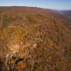 Photo #5 of BIG RIVER RD, GOSHEN, VA 210.0 acres