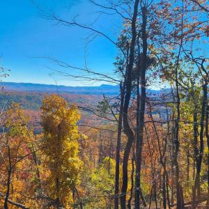 Photo #3 of BIG RIVER RD, GOSHEN, VA 210.0 acres