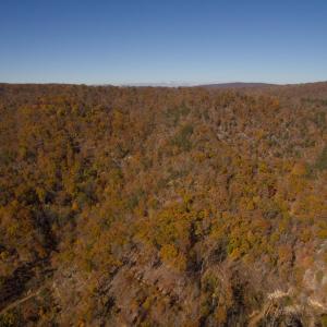 Photo #4 of BIG RIVER RD, GOSHEN, VA 210.0 acres