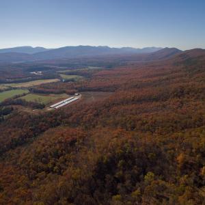 Photo #7 of BIG RIVER RD, GOSHEN, VA 210.0 acres