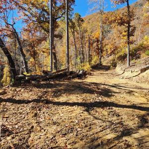 Photo #9 of BIG RIVER RD, GOSHEN, VA 215.0 acres