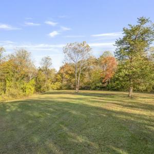 Photo #7 of 5515 - L GORDONSVILLE RD, KESWICK, VA 22.4 acres