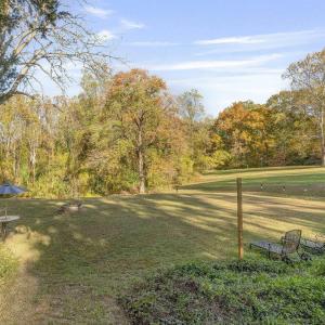 Photo #5 of 5515 - L GORDONSVILLE RD, KESWICK, VA 22.4 acres