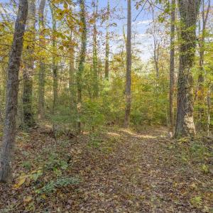 Photo #10 of 5515 - L GORDONSVILLE RD, KESWICK, VA 22.4 acres