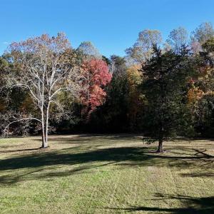 Photo #25 of 5515 - L GORDONSVILLE RD, KESWICK, VA 22.4 acres