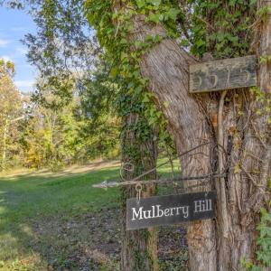 Photo #15 of 5515 - L GORDONSVILLE RD, KESWICK, VA 22.4 acres