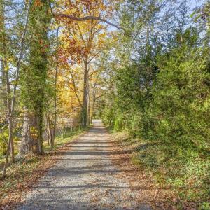 Photo #13 of 5515 - L GORDONSVILLE RD, KESWICK, VA 22.4 acres