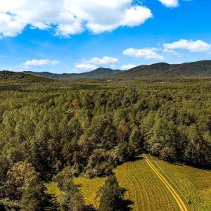 Photo #18 of 722 GREENFIELD MOUNTAIN FARM, AFTON, VA 12.0 acres