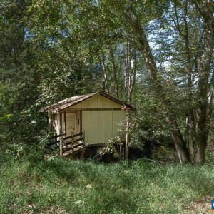 Photo #14 of 722 GREENFIELD MOUNTAIN FARM, AFTON, VA 12.0 acres