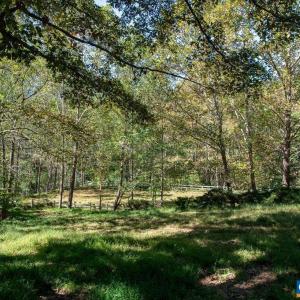Photo #6 of 722 GREENFIELD MOUNTAIN FARM, AFTON, VA 12.0 acres