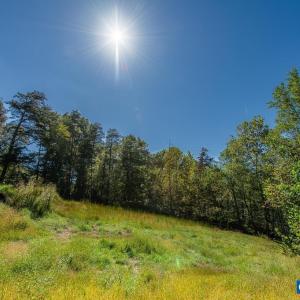 Photo #17 of 722 GREENFIELD MOUNTAIN FARM, AFTON, VA 12.0 acres