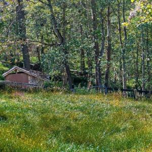 Photo #33 of 722 GREENFIELD MOUNTAIN FARM, AFTON, VA 12.0 acres