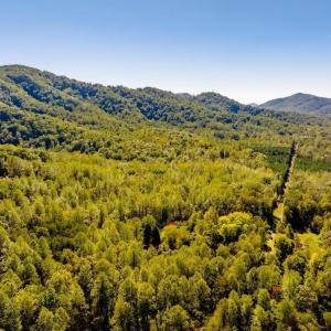 Photo #3 of 722 GREENFIELD MOUNTAIN FARM, AFTON, VA 12.0 acres