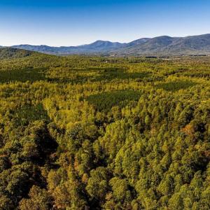 Photo #22 of 722 GREENFIELD MOUNTAIN FARM, AFTON, VA 12.0 acres