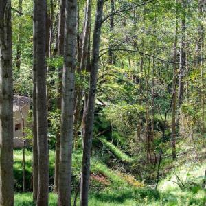 Photo #28 of 722 GREENFIELD MOUNTAIN FARM, AFTON, VA 12.0 acres