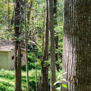 Photo #29 of 722 GREENFIELD MOUNTAIN FARM, AFTON, VA 12.0 acres