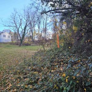 Photo #7 of TBD COMMODORE ST, STAUNTON, VA 0.4 acres