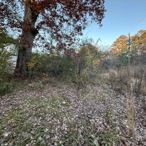 Photo #13 of 3481 SOLITUDE LN, ESMONT, VA 2.5 acres