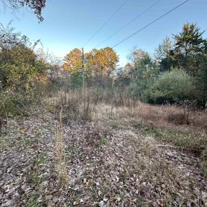 Photo #11 of 3481 SOLITUDE LN, ESMONT, VA 2.5 acres