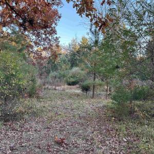 Photo #1 of 3481 SOLITUDE LN, ESMONT, VA 2.5 acres