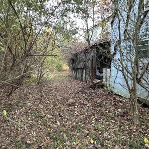 Photo #4 of 3481 SOLITUDE LN, ESMONT, VA 2.5 acres