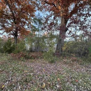 Photo #12 of 3481 SOLITUDE LN, ESMONT, VA 2.5 acres