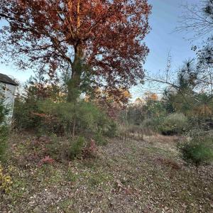 Photo #14 of 3481 SOLITUDE LN, ESMONT, VA 2.5 acres